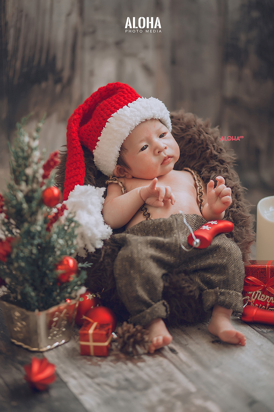 album ảnh giáng sinh newborn